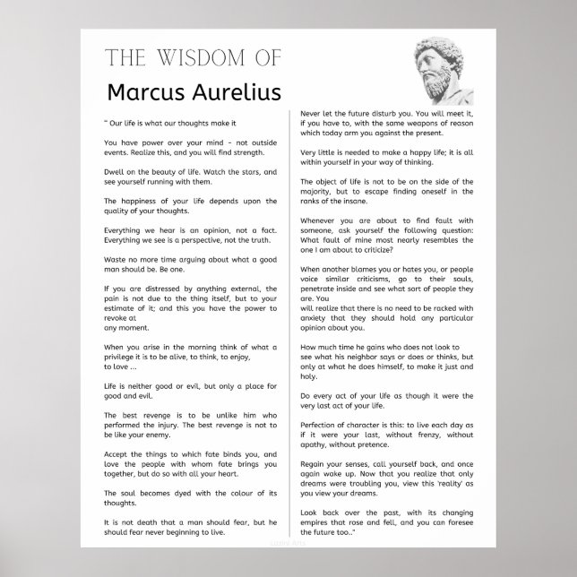 Poster Meditações Estáticas Marcus Aurelius. A sabedoria (Frente)