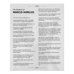 Pôster Meditações Estáticas Marcus Aurelius. Poster Brilh