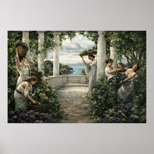 Poster Mediterranean Vineyard Grape Harvest (Frente)