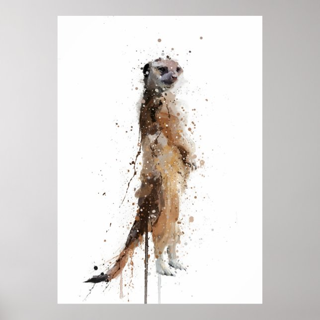 Poster Meerkat (Frente)