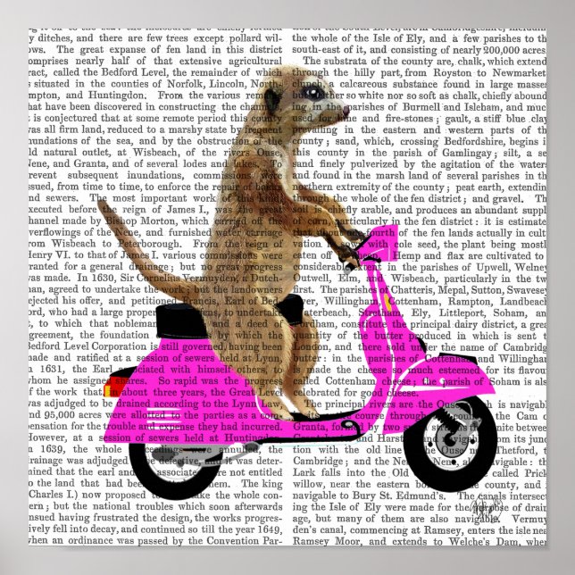 Poster Meerkat em Moped Rosa (Frente)