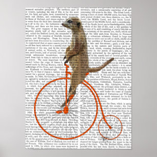 Pôster Meerkat em Orange Penny Farthing