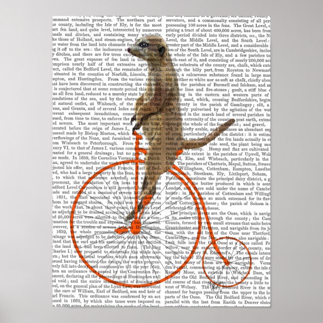 Pôster Meerkat em Orange Penny Farthing (Frente)