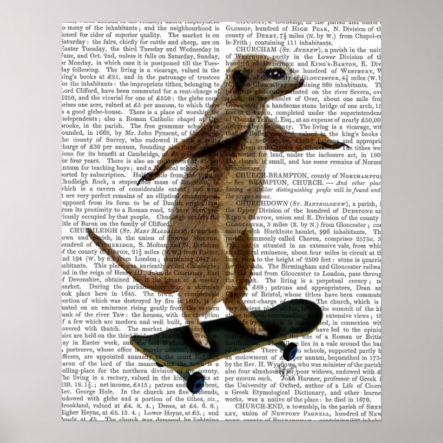 Poster Meerkat No Skateboard (Frente)