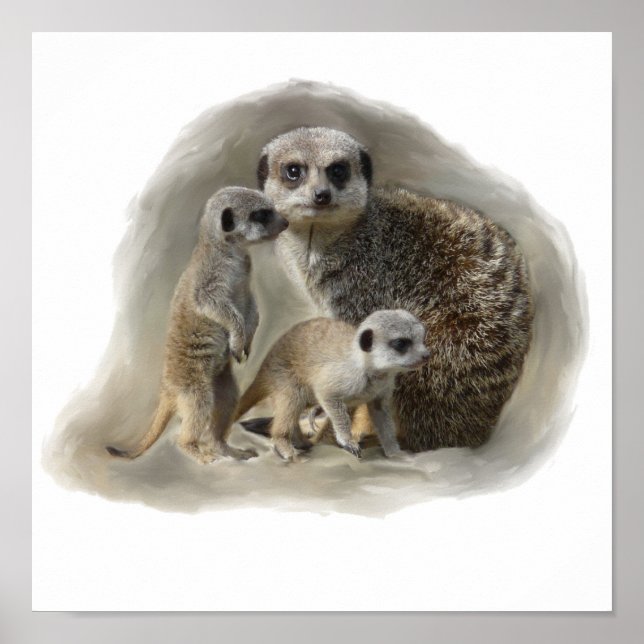 Poster meerkats (Frente)