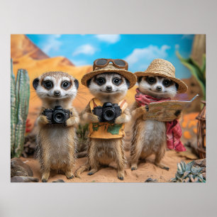 Poster Meerkats vestidos como turistas com câmeras e mapa
