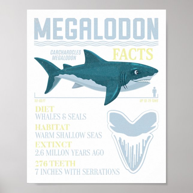 Poster Megalodon atua sobre o fóssil dos dentes de tubarã (Frente)