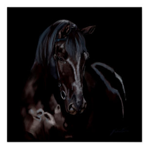 Pôster Meia-noite de Blackas do cavalo