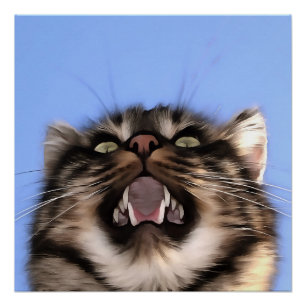 Pôster Meia Plainosa De Uma Pintura Em Acrílico De Gato D