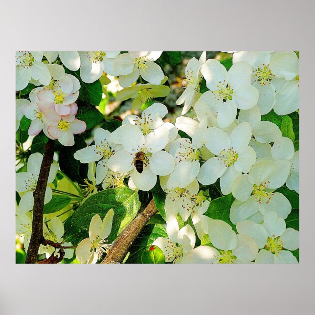 Pôster Mel fazer (Frente)