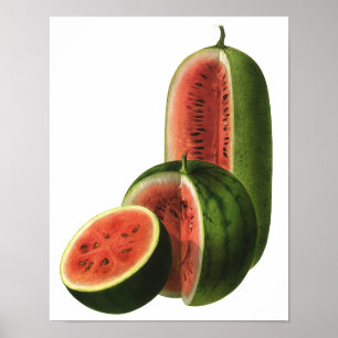 Pôster Melancias Vintage Altas Redondas, Fruta Alimentíci