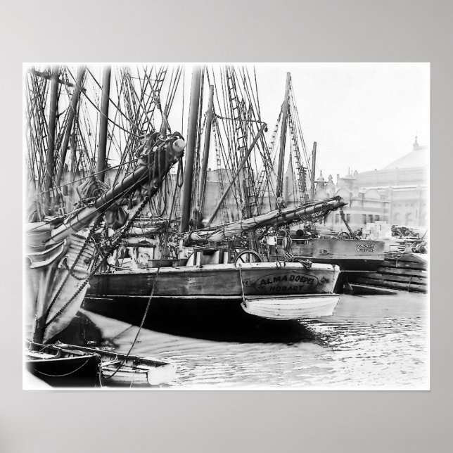 Pôster Melbourne, 1903: Alma Doepel (Frente)