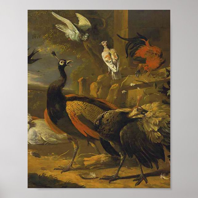 Poster Melchior d'Hondecoeter - Pássaros num Parque (Frente)