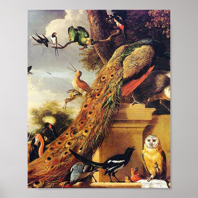 Poster Melchior d'Hondecoeter - Pássaros num Parque (Frente)