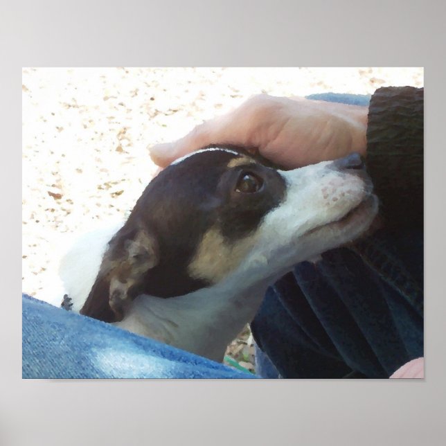 Poster Melhor Amigo (Frente)