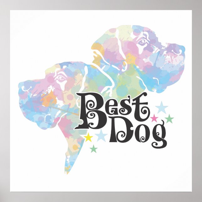 Poster Melhor Cão "colorido" (Frente)