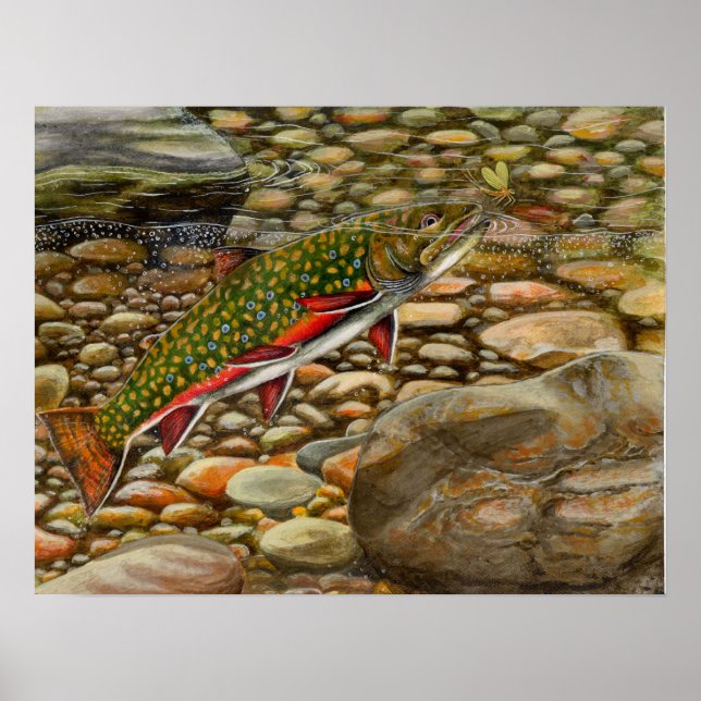 Pôster Melhor do Show 2004 (Frente)