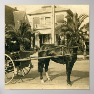 Pôster Melhor Domingo