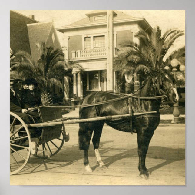 Pôster Melhor Domingo (Frente)