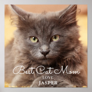Poster Melhor Foto Da Mãe De Cat