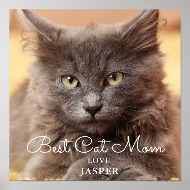 Poster Melhor Foto Da Mãe De Cat (Frente)