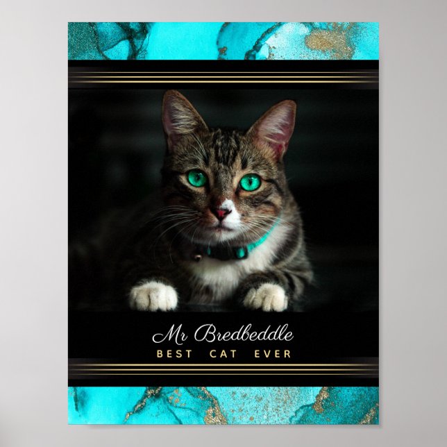Poster Melhor Gato de Todos os Tempos Modelo de Foto Teal (Frente)