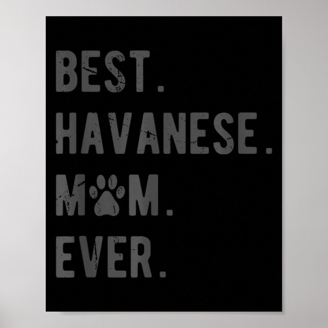 Poster Melhor Mãe Havanese de Todos os Tempos - Presente  (Frente)