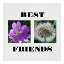 Pôster Melhor Modelo de Imagem de Amigos