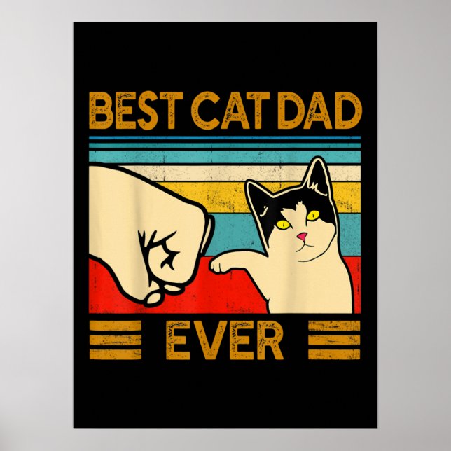 Poster Melhor Pai De Gato De Pai Engraçado (Frente)
