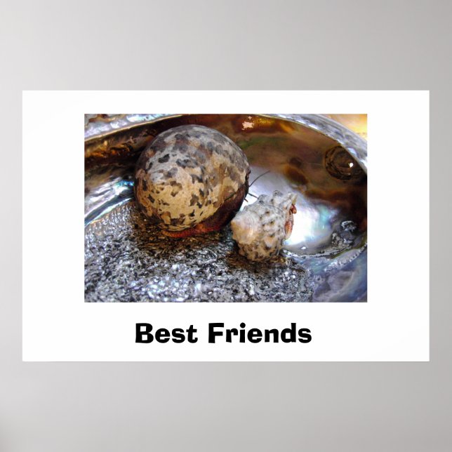 Pôster Melhores Amigos (Frente)