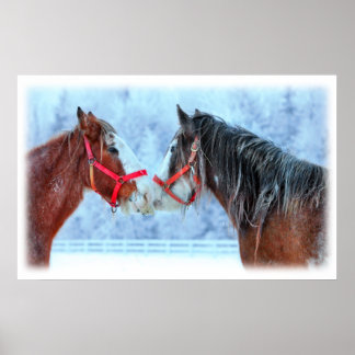 Pôster Melhores Amigos