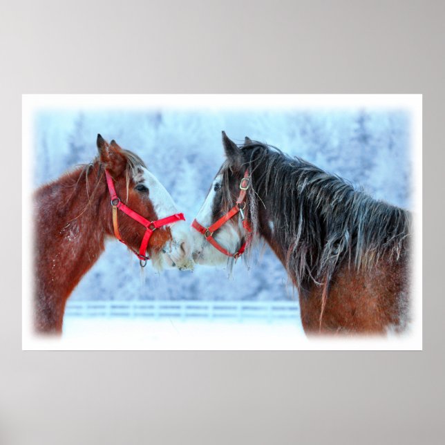 Pôster Melhores Amigos (Frente)