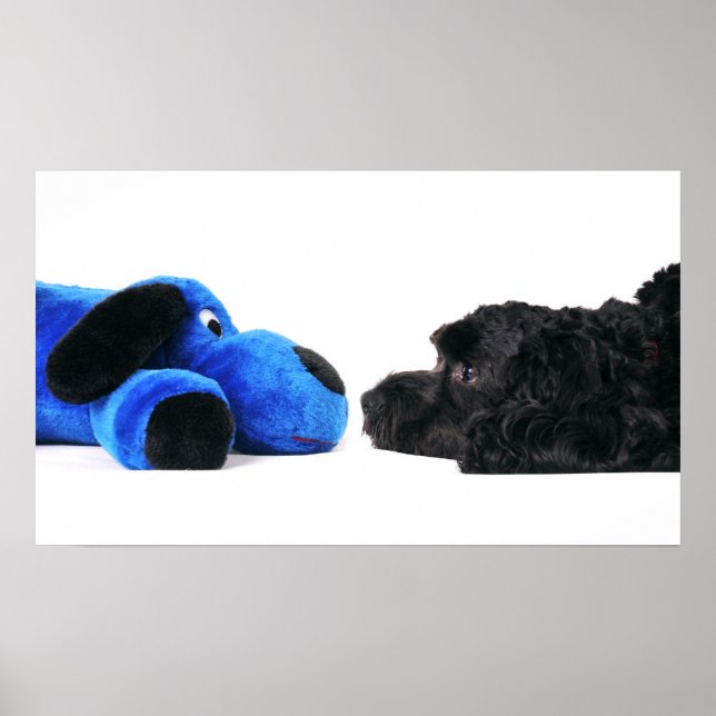 Poster Melhores amigos (Frente)