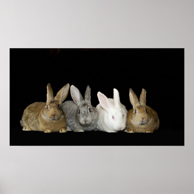 Pôster Melhores Amigos (Frente)