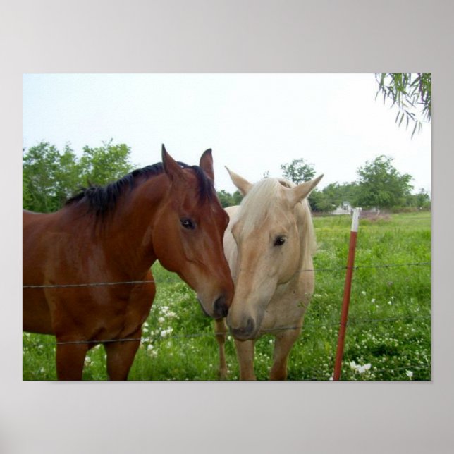 Poster Melhores Amigos do BFF para sempre (Frente)