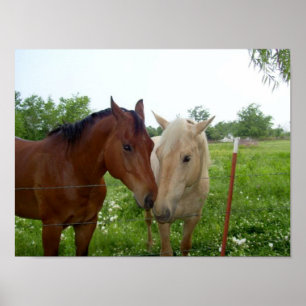 Poster Melhores Amigos do BFF para sempre