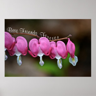 Poster Melhores Amigos para Sempre