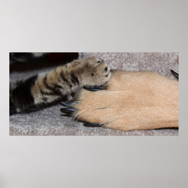 Pôster Melhores Amigos para sempre por Shirley Taylor (Frente)