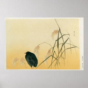 Poster Melro, período de Edo