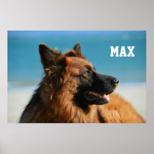 Poster Membro Personalizado da Família de Fotografias e N