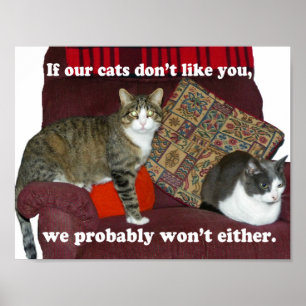 Pôster Meme Cat