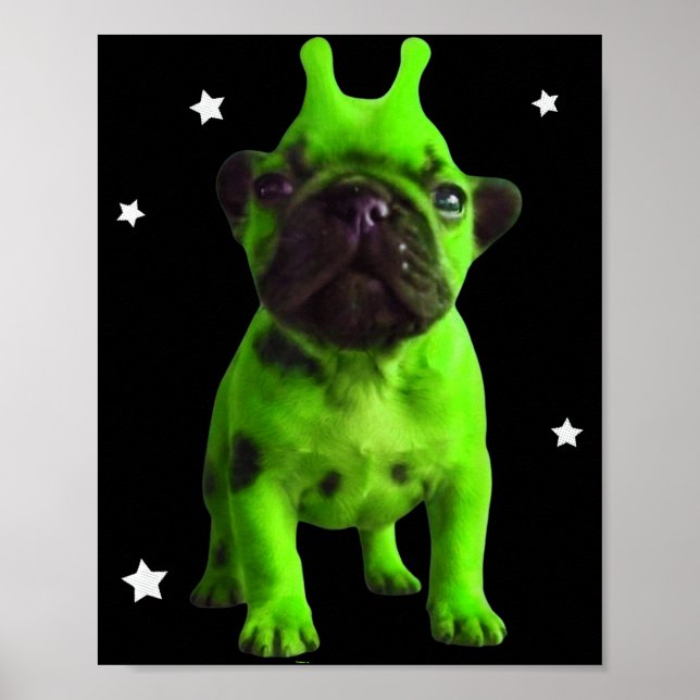 Poster Meme de Cachorro Alienígena Retro Bobo Cachorro Es (Frente)
