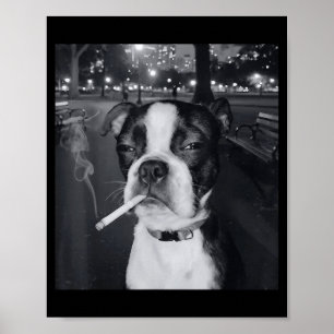 Poster Meme de cachorro fumando cigarro engraçado Gen Z M