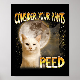 Poster Meme de Gato Amante de Gato Mãe de Gato Engraçado