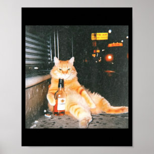 Poster Meme de Gato Bêbado Antigo na Rua Noturna Gato Eng