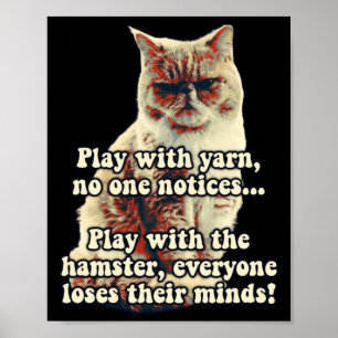 Poster Meme de Gato Bravo Engraçado Para Pessoas de Gatin