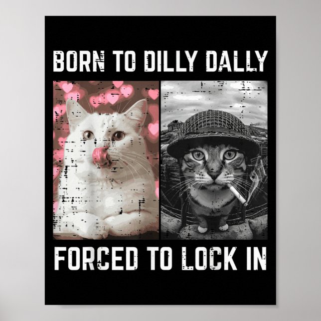 Poster Meme de Gato Engraçado Rapazes Jovens da Internet  (Frente)