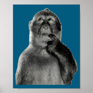 Poster Meme de Macaco Engraçado com Estilo de Arte de Hum