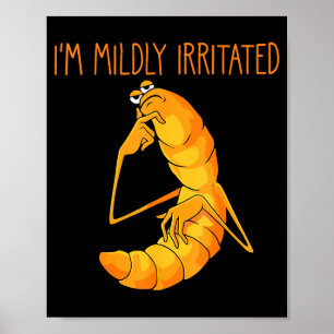 Poster Meme de Minhoca Engraçado Estou Levemente Irritado