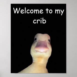Poster Meme de Pato Engraçado – “Bem-vindo ao Meu Quarto”